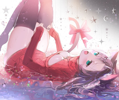 二次元猫耳娘美图赏析(20)
