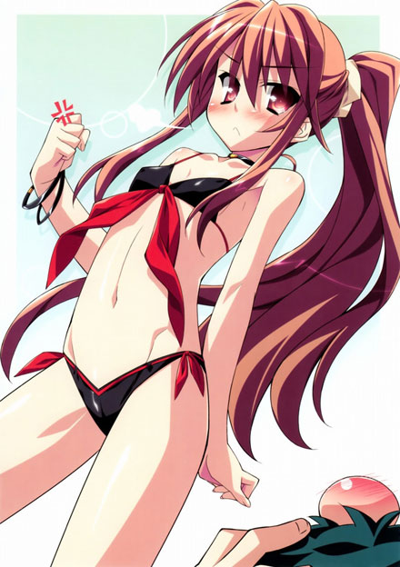 二次元单马尾美少女美图赏(15)