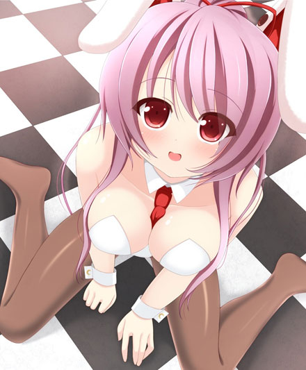 二次元兔女郎美少女美图赏二(3)