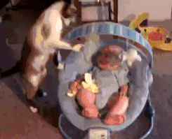 萌娃与保姆版喵星人搞笑GIF(9)