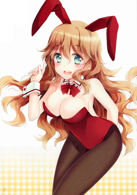 二次元兔女郎美少女美图赏二(5)