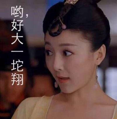 萧才人翻白眼表情搞笑合集(18)