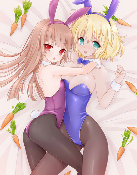 二次元兔女郎美少女美图赏二(14)