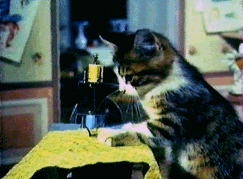 萌娃与保姆版喵星人搞笑GIF(3)