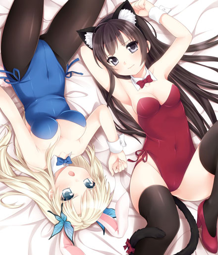 二次元兔女郎美少女美图赏二(15)