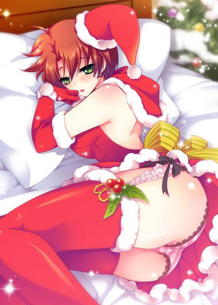 二次元圣诞美少女美图赏四(15)