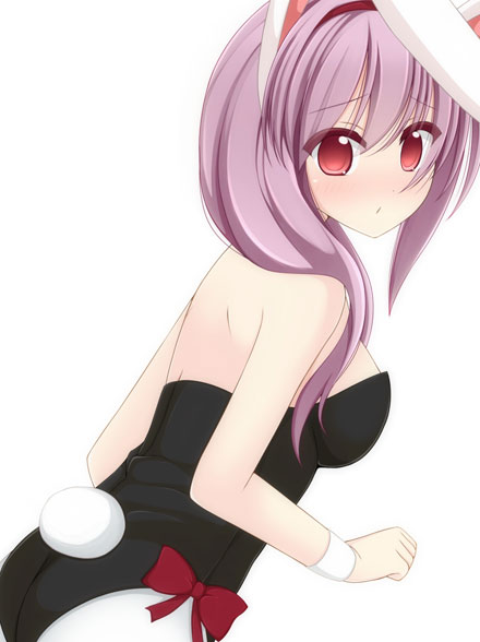 二次元兔女郎美少女美图赏二(12)