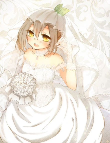 二次元婚纱美少女图集3(3)