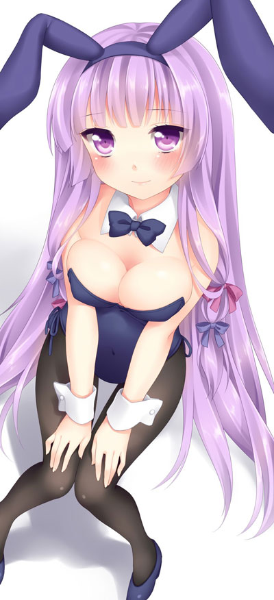 二次元兔女郎美少女美图赏一(2)