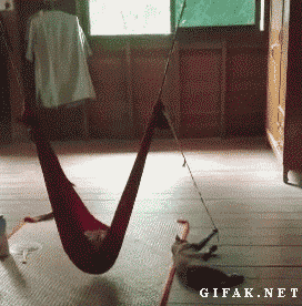 萌娃与保姆版喵星人搞笑GIF(7)