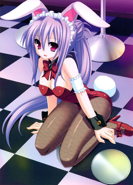 二次元兔女郎美少女美图赏二(17)