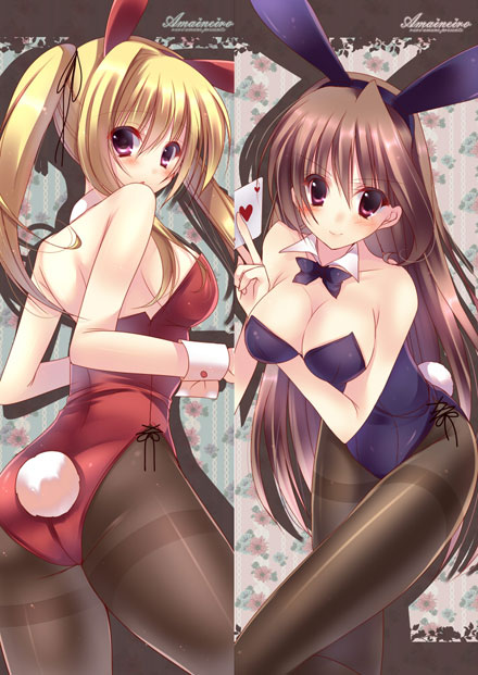 二次元兔女郎美少女美图赏一(21)