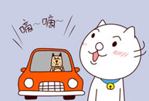 嗷大喵真棒之一只正常的喵