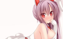 二次元兔女郎美少女美图赏二
