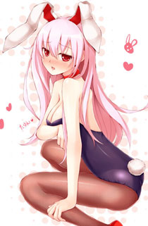 二次元兔女郎美少女美图赏二