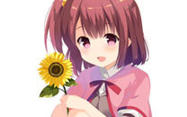 《天体的秩序》古宫乃乃香美图赏