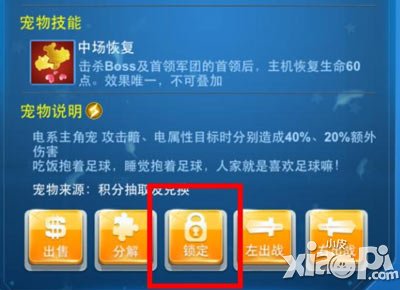 全民飞机大战宠物锁定有什么用 有什么作用