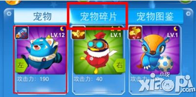 全民飞机大战大浣熊宠物碎片怎么得 有什么用